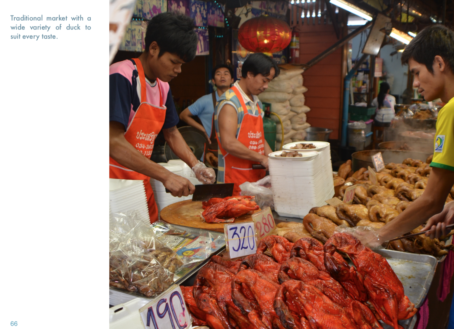 Marché traditionnel thaïlandais, étal de canards laqués